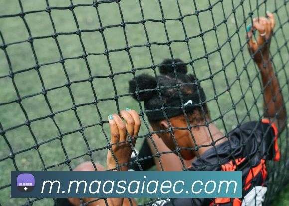 乐鱼体育品牌故事